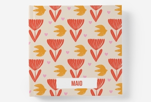 Álbum de Maio intro